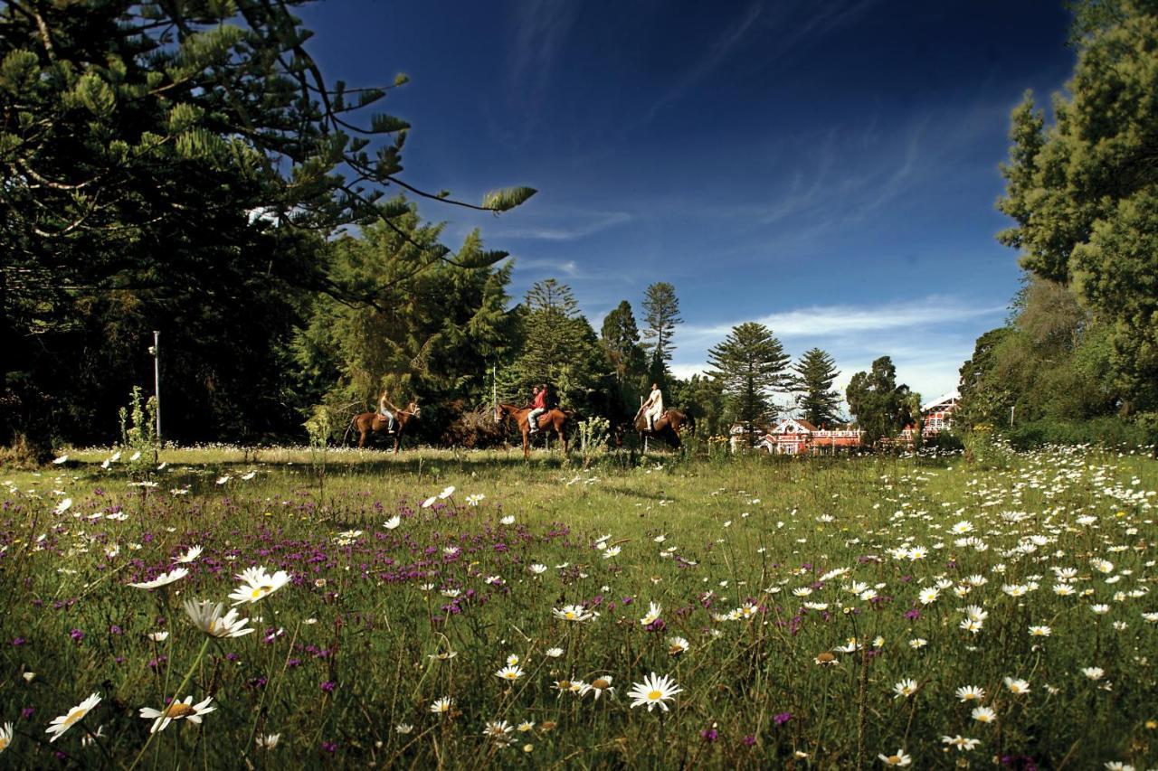 Welcomheritage Fernhills Royal Palace Ooty Bagian luar foto